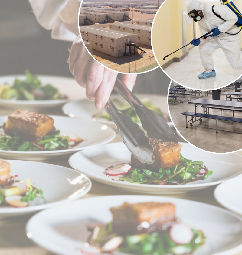  About Al Majd Services